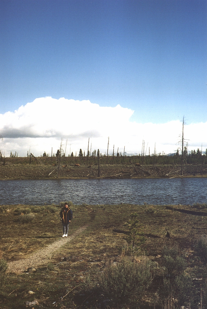 2001 - USA B068a.jpg